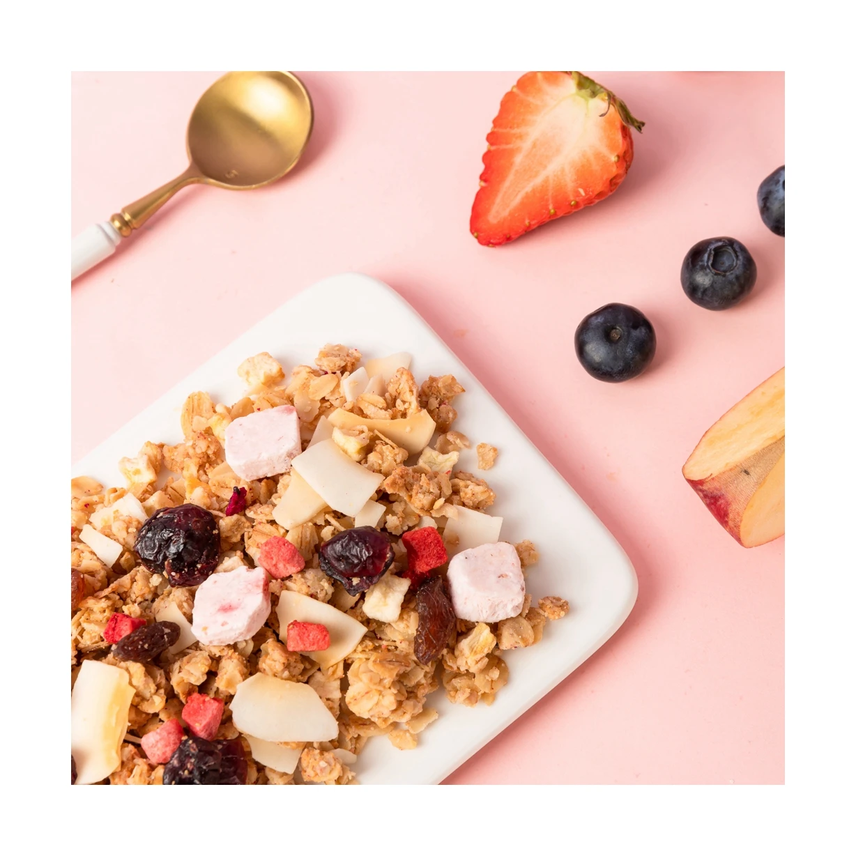 Top Quality Hot Selling Flaked Dried Flower Instant Oats