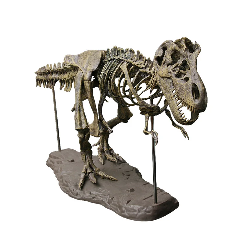 skeleton fossil model toy assembled dinosaur bones plastic fossil toy archaeological education animal fossil toy