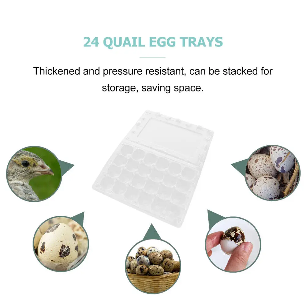 PET Plastic Jumbo Quail Egg Tray Packing Blister 12 18 30 Holes Supplier Vacuum Formed Quail Eggs Tray Boxes