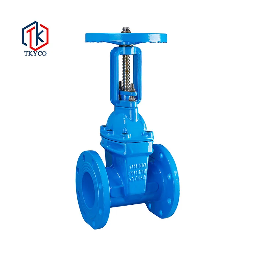 TKYCO PN10 PN16 Flange Type Rising Gate Valve Soft Sealing Ductile Cast Iron Sluice Gate Valve