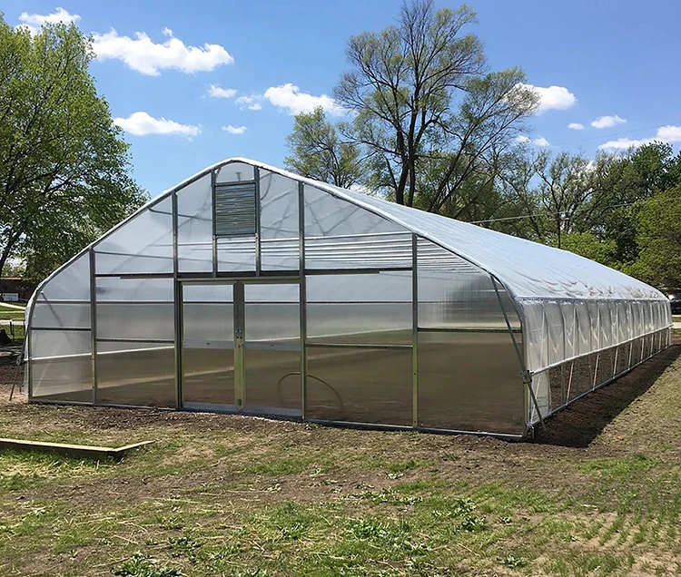Skyplant Commercial Greenhouse  Low Cost Customized Single Span Plastic Film Greenhouse with Cooling System