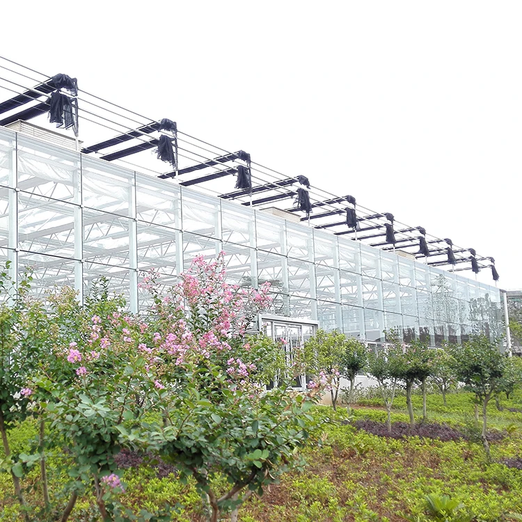Galvanized steel frame glass greenhouse for seeding nursery