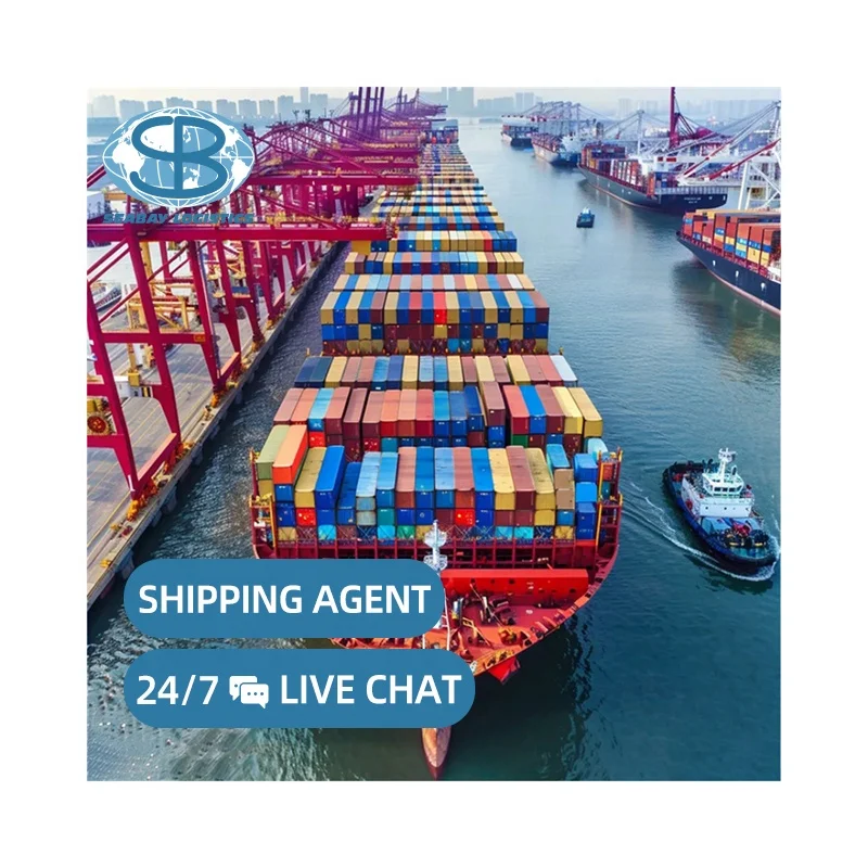 Cheap sea cargo services shipping rates freight forwarder from China to Hamad Qatar logistics agent