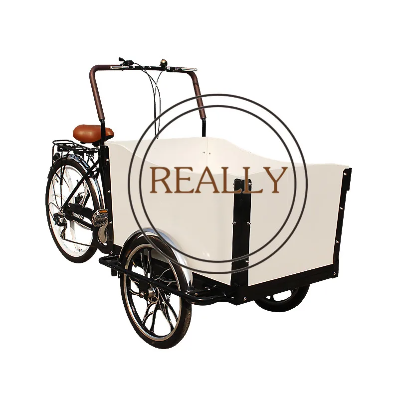 2025 Discount Convenient Electric Tricycle 3 Wheel Bicycles Pedal Cargo Bike for Passenger Carrier and Food Sales