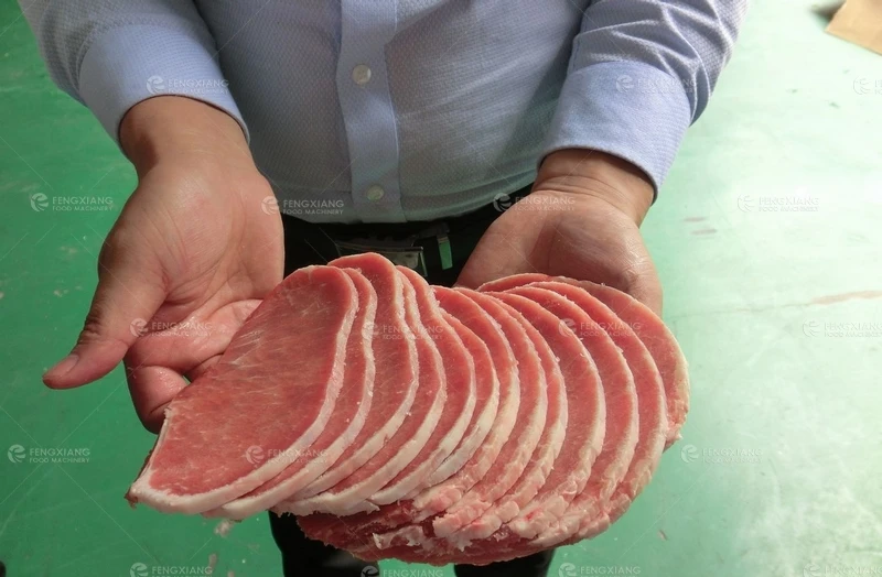 FKP-25 Commercial Frozen Row Meat Slicing Machine Steak Bacon Ham Slicer