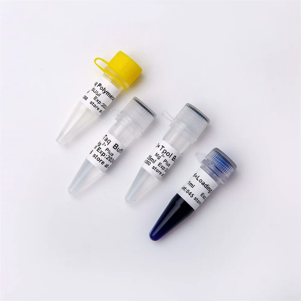 Taq Plus DNA Polymerase for GC-rich pcr P1031-P1032-P1033-P1034