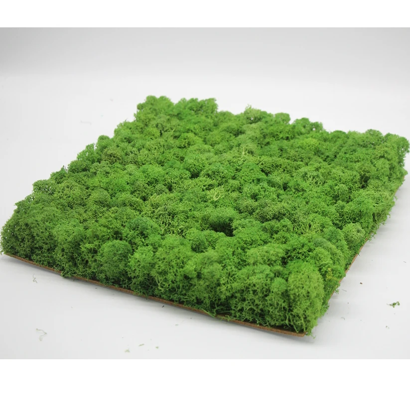 factory wall green moss wall art panels preserved forest moss decorative preserved artificial moss wall panel