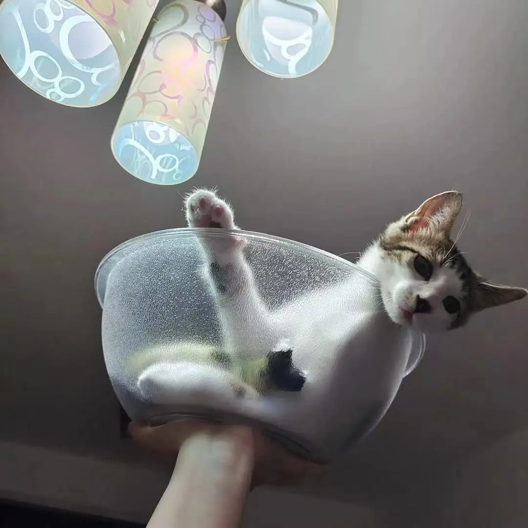 Cup Pet House New Product Durable Waterproof Plastic Pet Dog House Indoor Pet Care