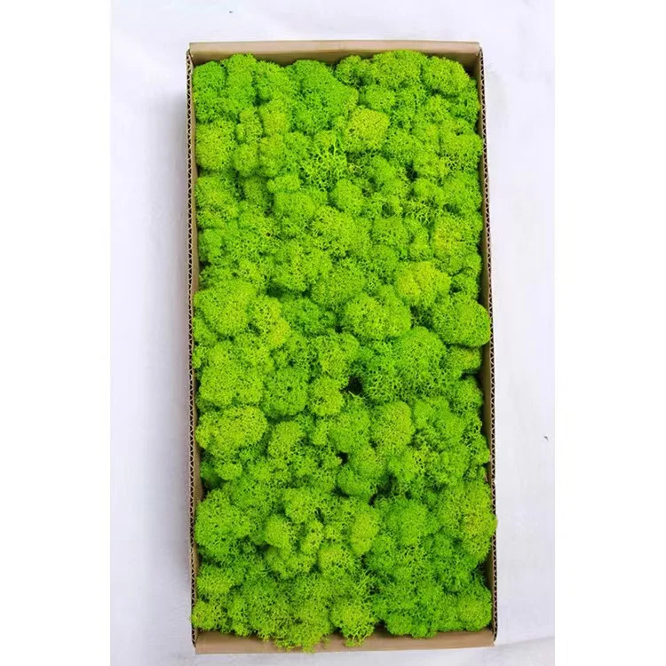 Wholesale High Quality Yunnan Bestselling Preserved Moss For Office Decoration