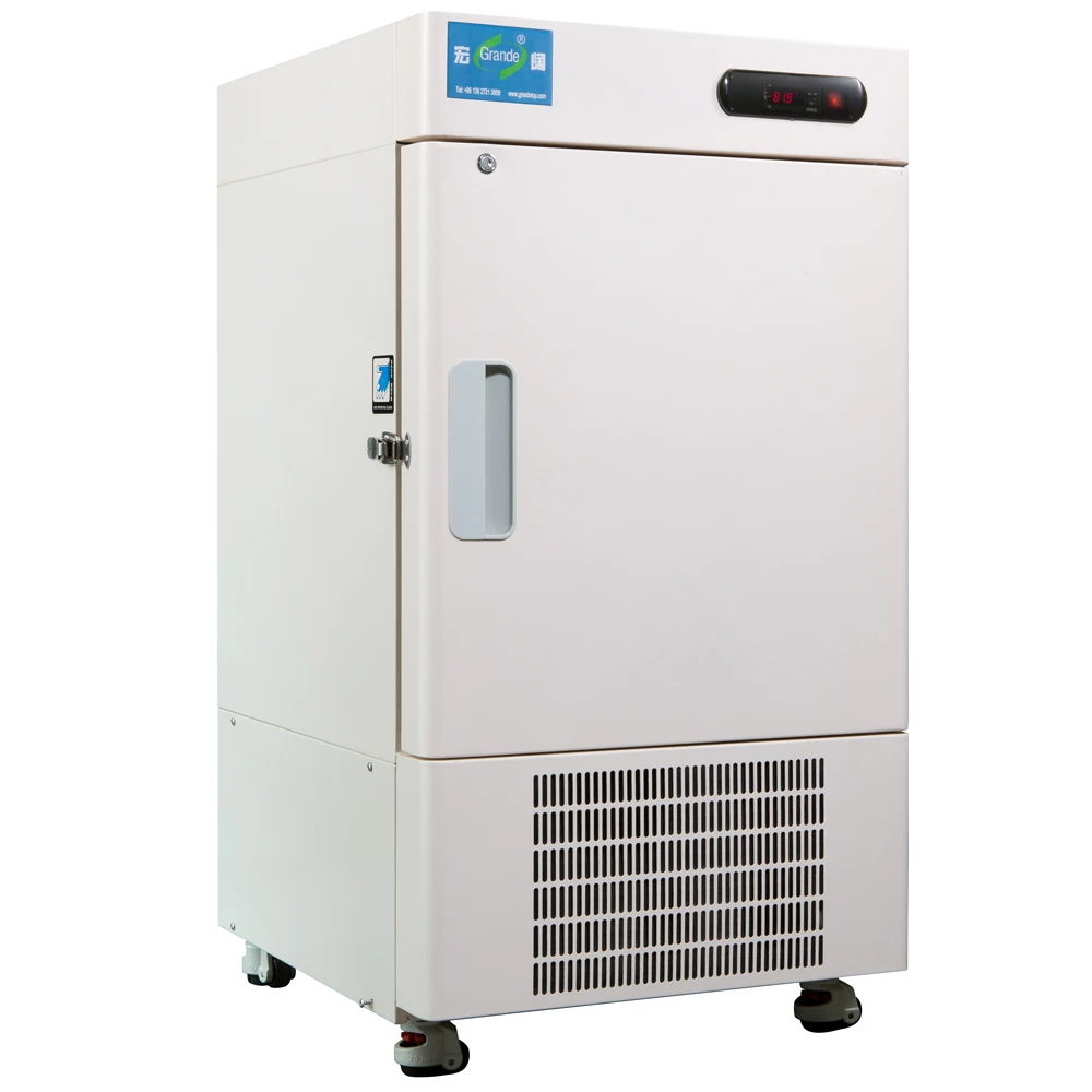 CE Certified Laboratory Medical Deep Freezer Cold Storage Chamber