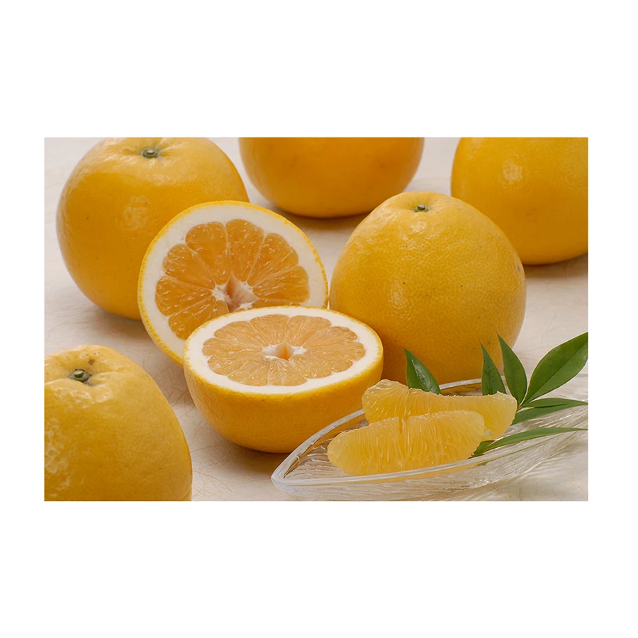 Japanese wholesale bulk fresh orange citrus with good quality