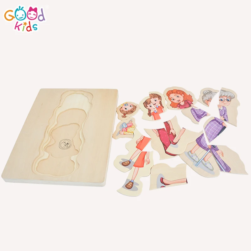 Wooden Toddler Toys Ready to Ship Man Grow up Body Structure Jigsaw Learning Wooden Toy 5 Layer Puzzle