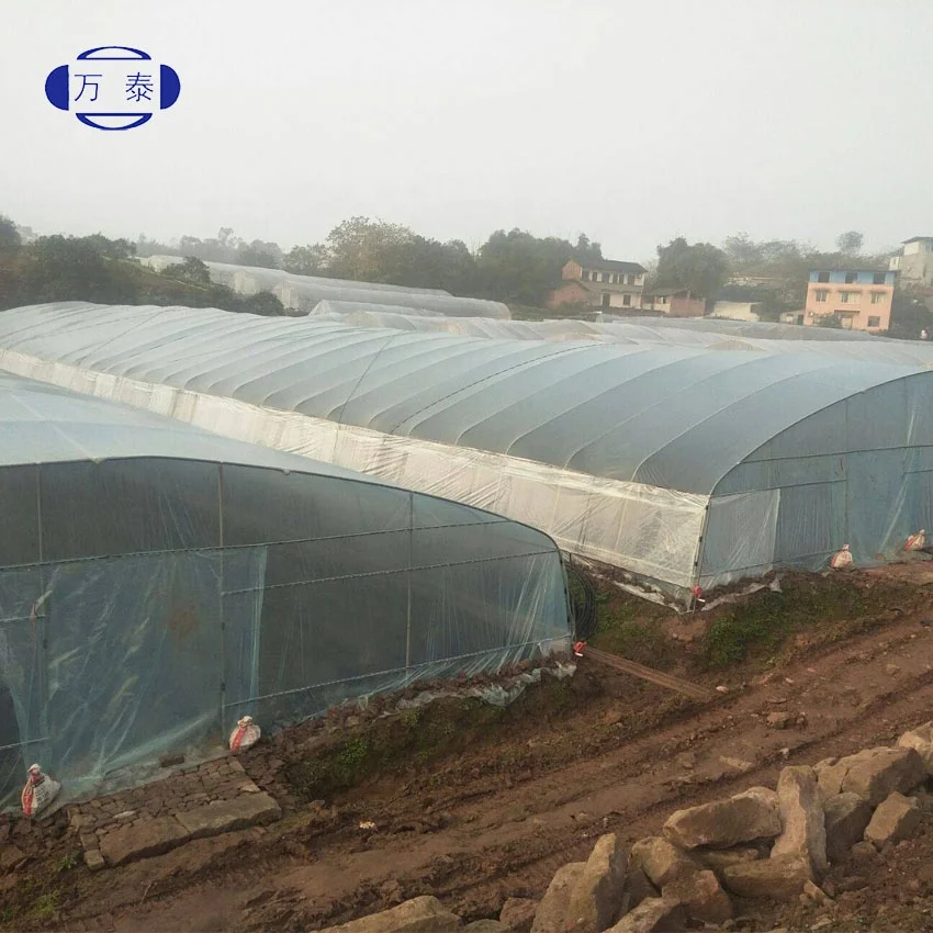 Factory price PO Film Single Span Greenhouse For Agriculture Easy Installation