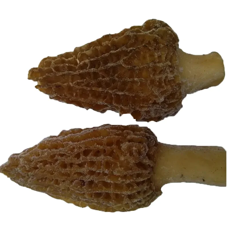 china export frozen wild mushroom price of frozen black morel mushroom
