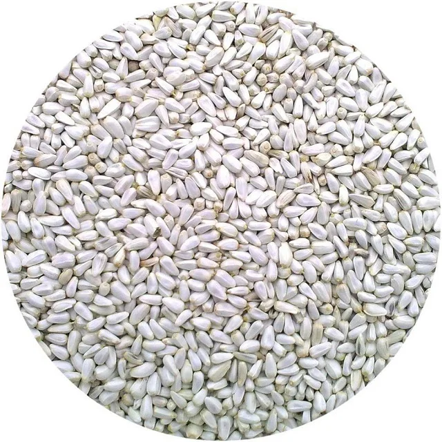 Customized Safflower Seeds from India for Bird Feed Bulk Purchase with Custom Packing Service Available