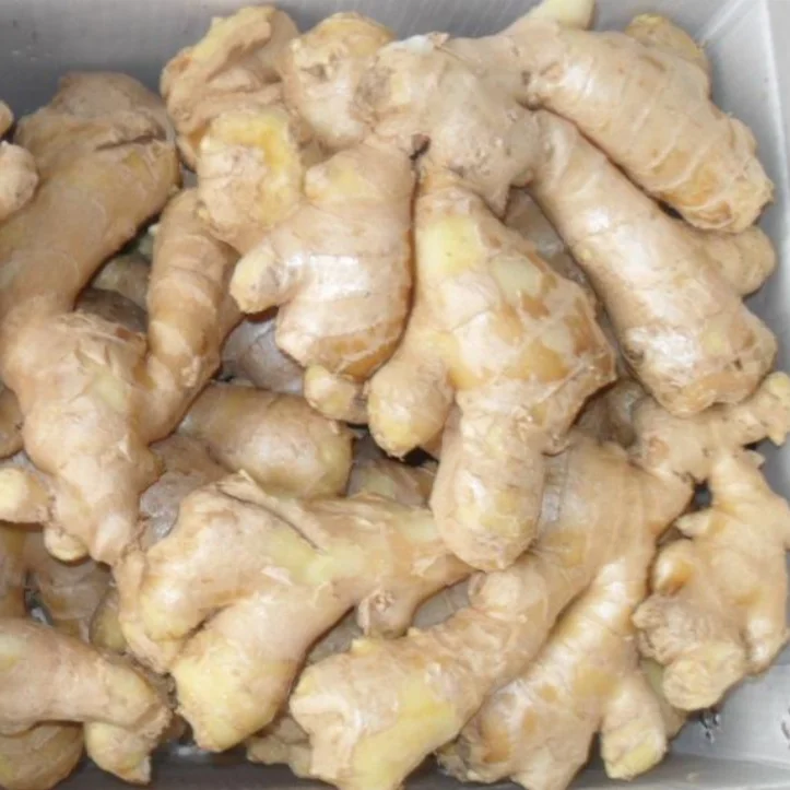 Good Price IQF Frozen Fresh Ginger Supplier