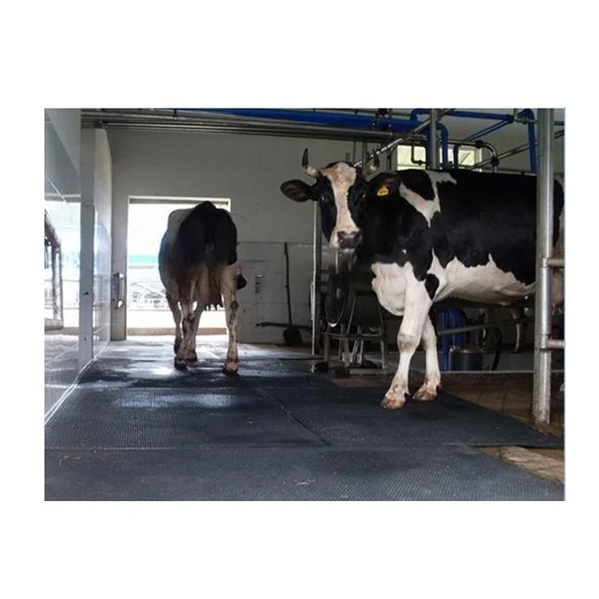 
Chinese manufacturer EVA foam horse factory stabilizer pad cattle stall pad waterproof and pressure resistant rubber sheets 