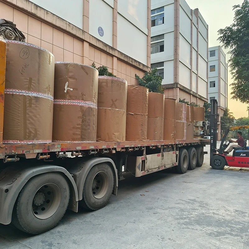 Single or Double PE Coated Bottom Customized Beverage Specialty  paper cup roll raw materials High Quality Food Grade