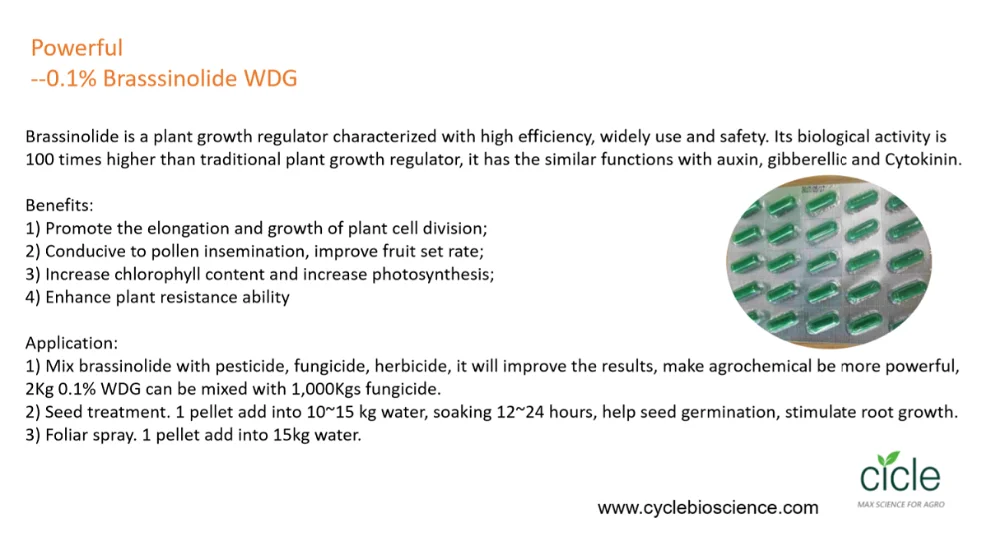 Легкая Транспортировочная Капсульная упаковка 28-Homo-brassinolide 0.1% DF высокотехнологичная снимающая агрохимические опасности
