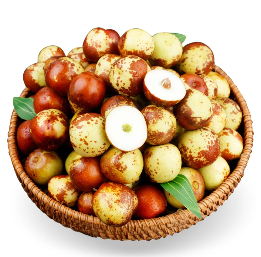 Hot sale farm fruit crispy taste juicy fresh dongzao jujuha dates winter jujube