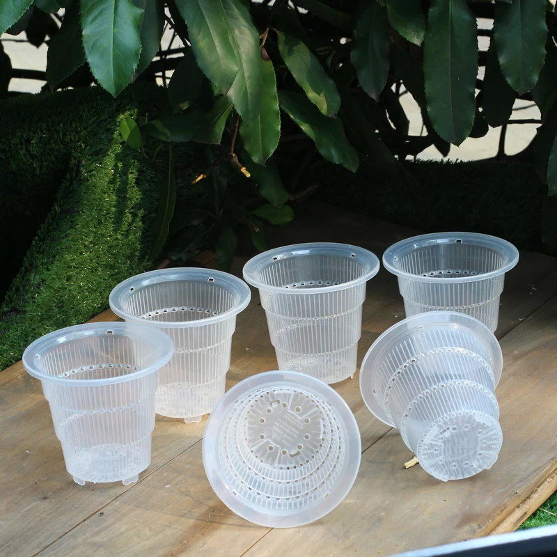 mini clear plastic orchid pot cattleya hybrida planter in 4 inch