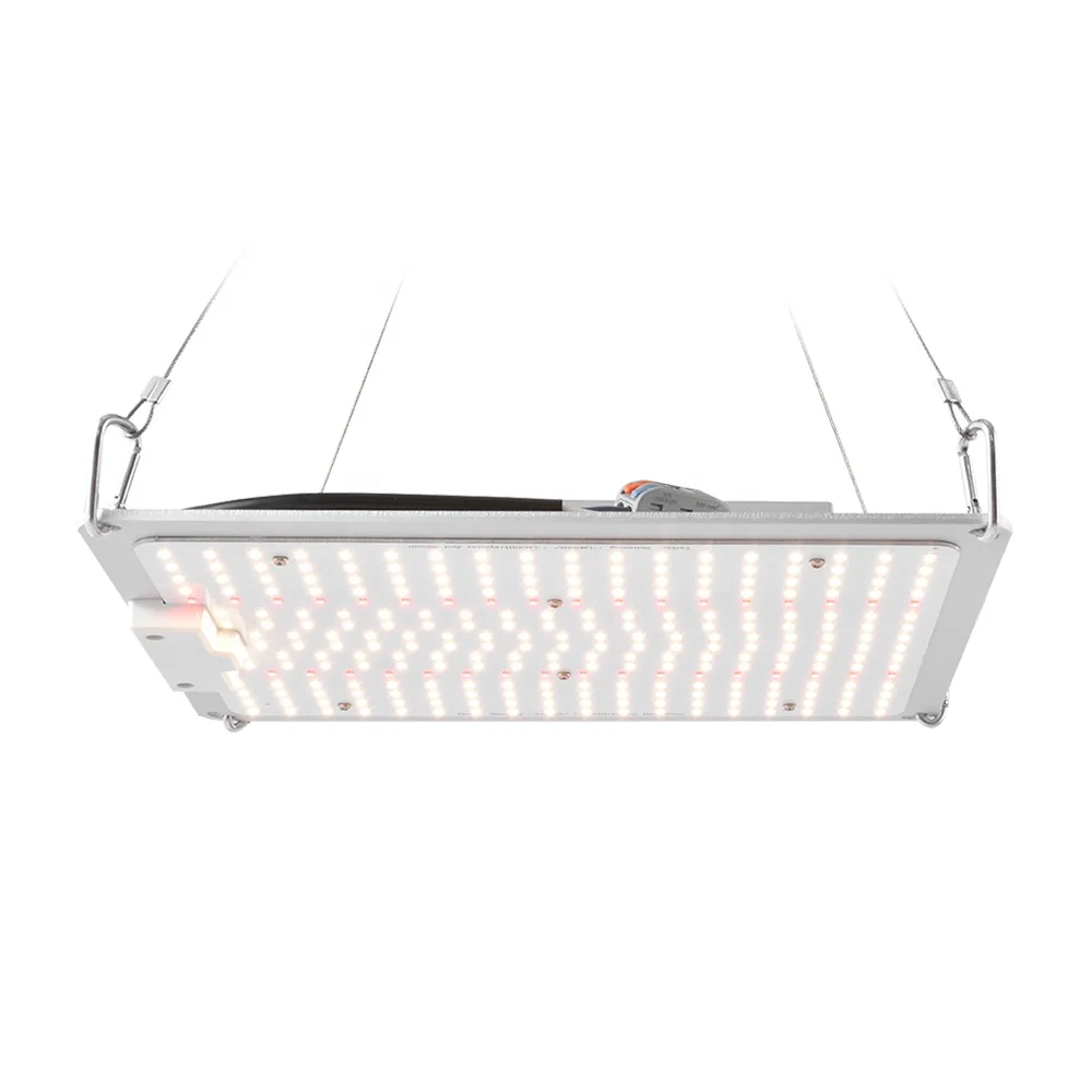 YASTAR full spectrum 120w 240w 480w hydroponics plants veg and flower cob usa stock led grow light