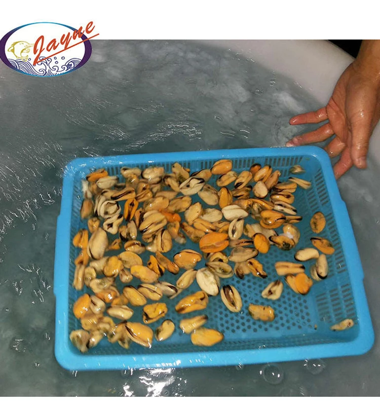 Высококачественные готовые цельные пресноводные ракушки, замороженные закуски, производство мидий, мясо на продажу