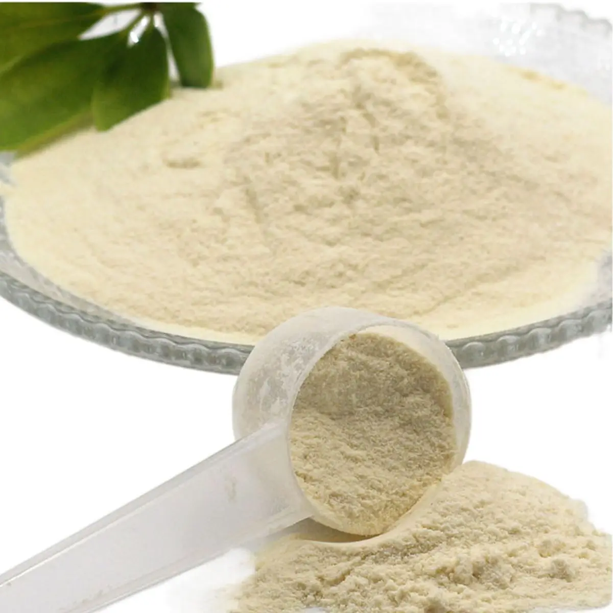 Protein Powder Organic Vegan Protein Powder With Logo Private Label Whey Vegan Protein Powder