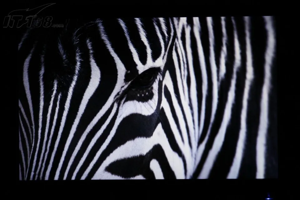 industrial grade 10.1 inch  LCD Display Screen 1280x800 IPS TFT LVDS medical imaging LCD screen