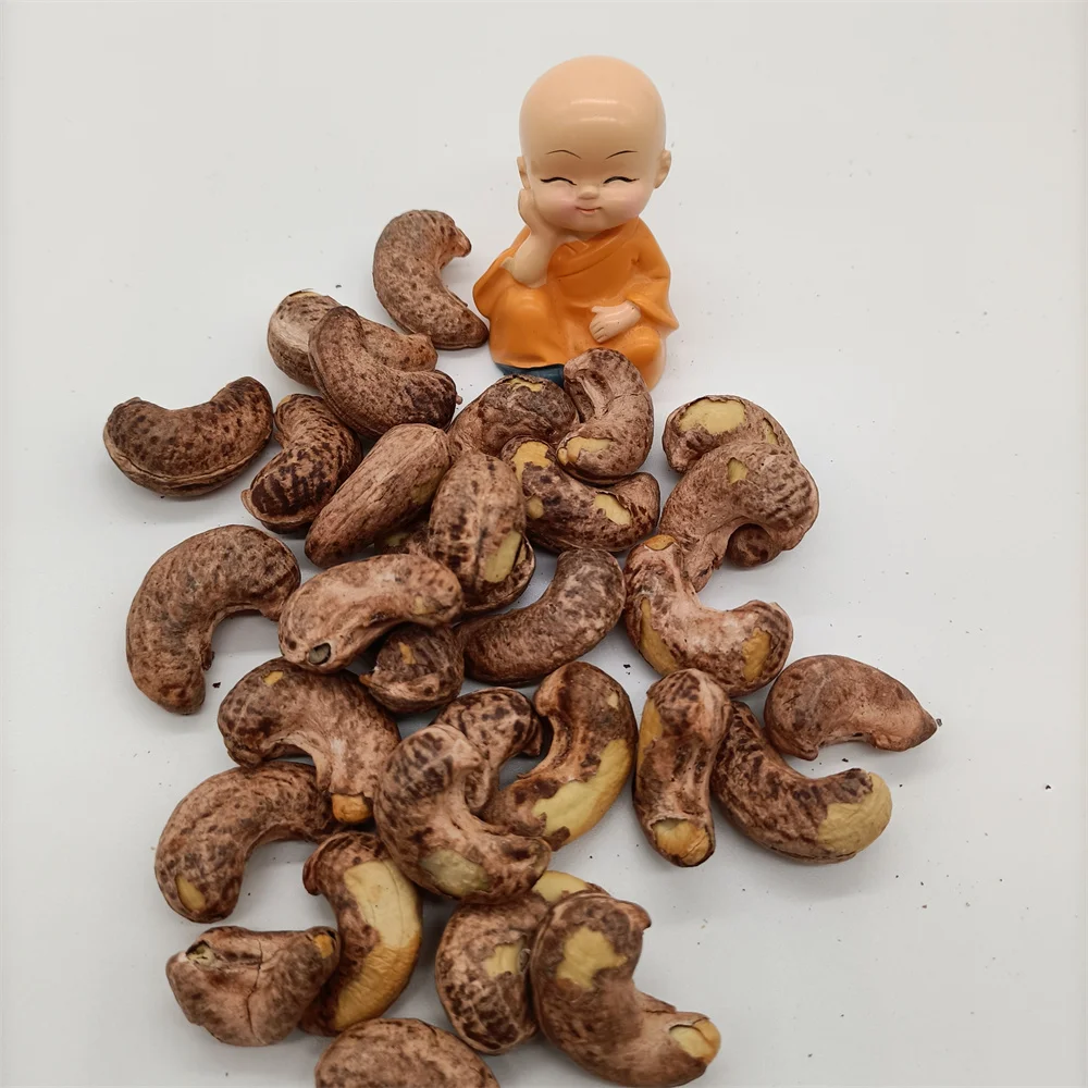 High Quality Raw Cashew Nuts with Best Price