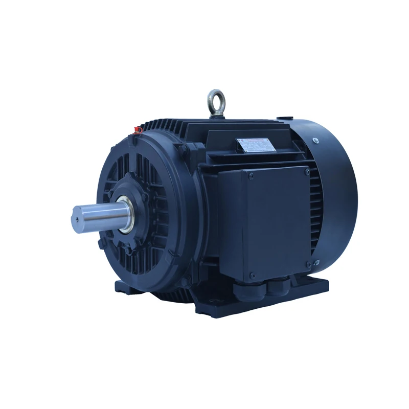 LEADGO Gost Standard ANP Three Phase Motor 11kw 15kw 18.5kw Electric Motors with Totally Enclosed