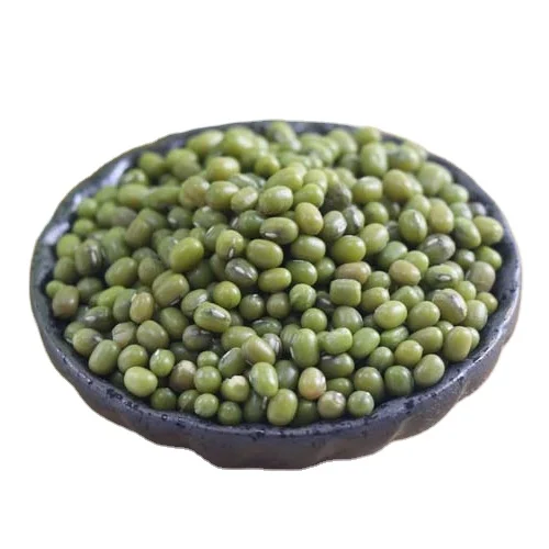 Chinese Bulk Wholesale Green Mung Beans Rich In Vitamin 100% Natural Mung Beans