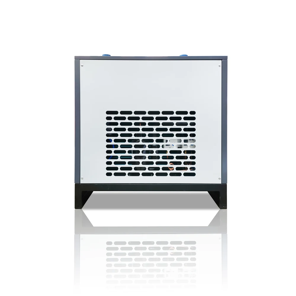 Screw air compressor air dryer for compressor