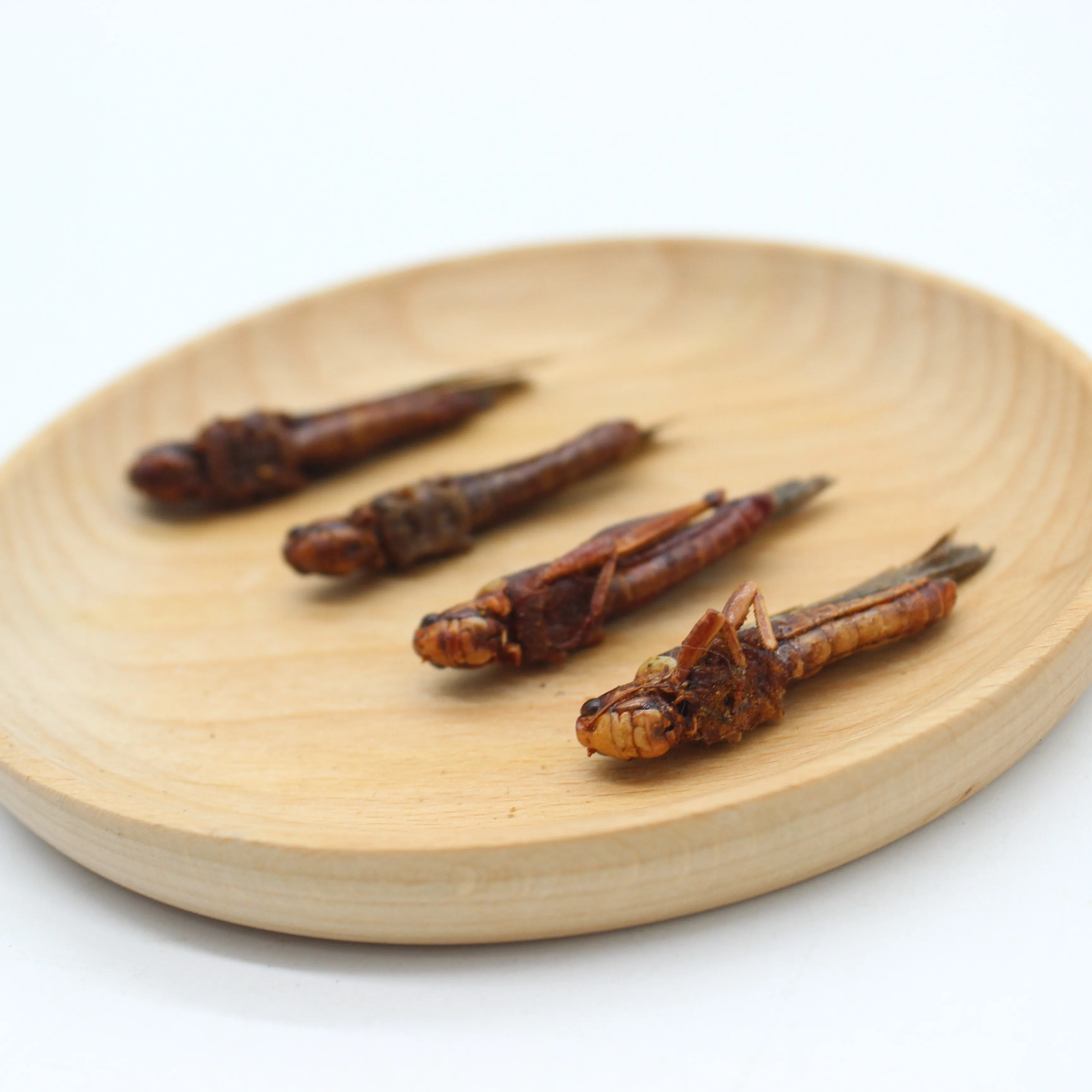 
Factory Sell organic pet bird food dried grasshopper dried cricket 