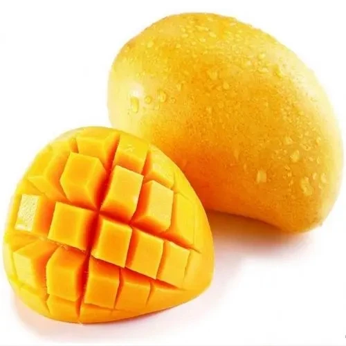 Hot selling mango seeds mango seed powder mango seed extract
