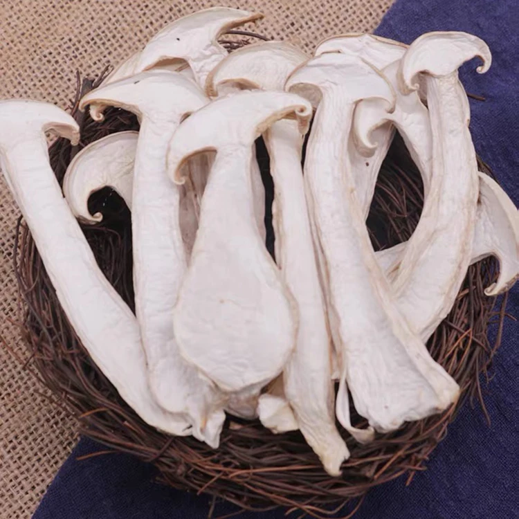 Customized New brand matsutake mushroom tricholoma matsutake freeze dried matsutake