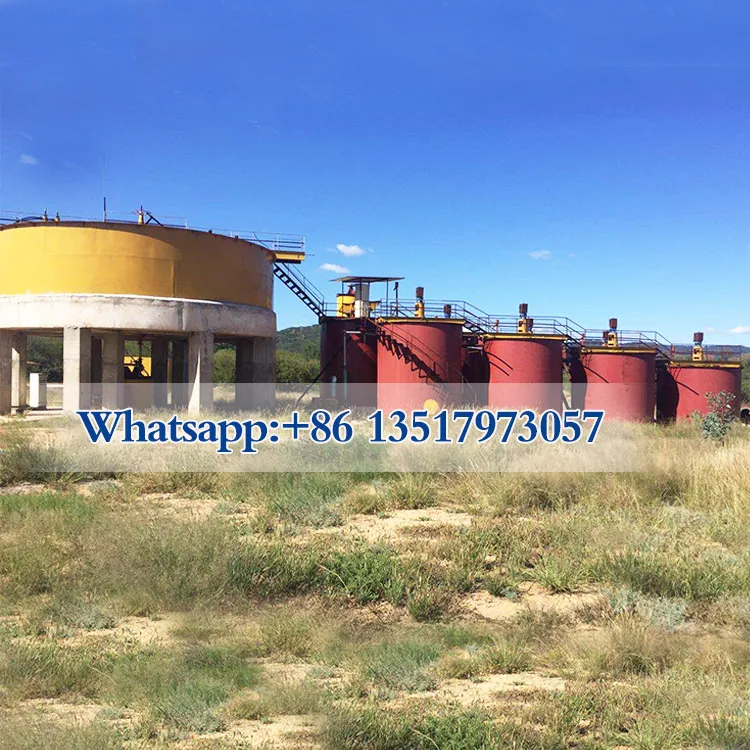 High performance gold cyanide leaching plant supplier