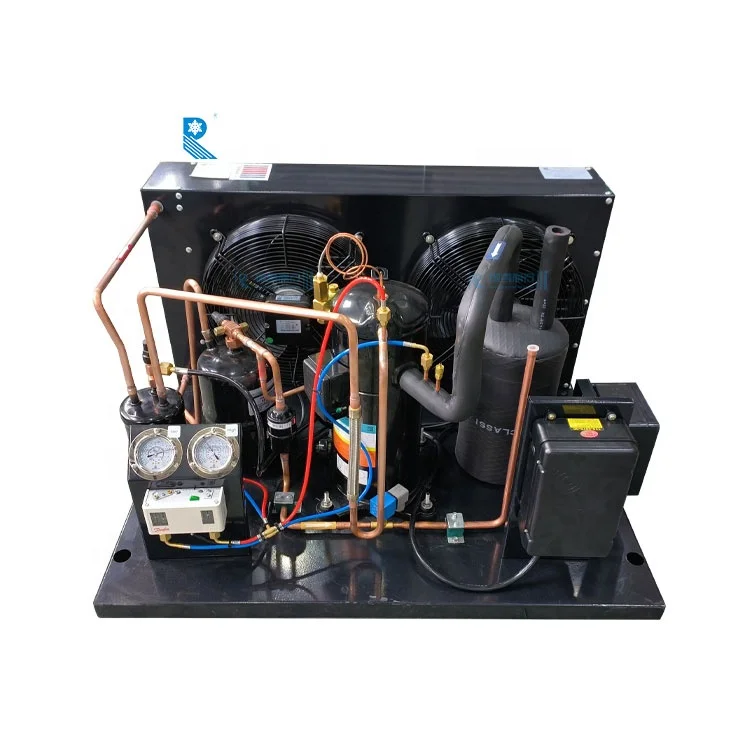 RUIXUE open type  Ultra-low temperature 3hp condensing unit multiple refrigeration compressor