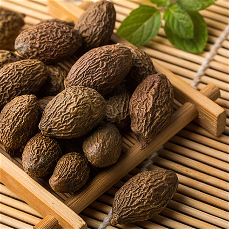 China Scaphium Scaphigerum /dried Malva Nut/ Sterculia Lychnophora For Drinking Best Price