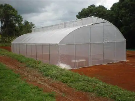 Дешевые многопролетные green house структура агрикультурные теплицы для томатов