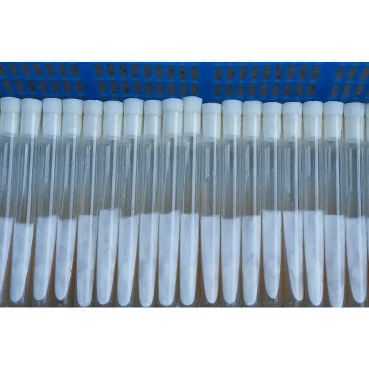 Гриб Llions грива жидкая культура Спаун Устрица гриб мицелий для культивирования