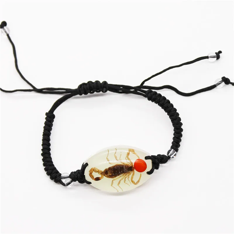 New Creative Insect Amber Knitted Bracelet Real Insect Scorpion Bracelet Insect Specimens Bracelet For Men