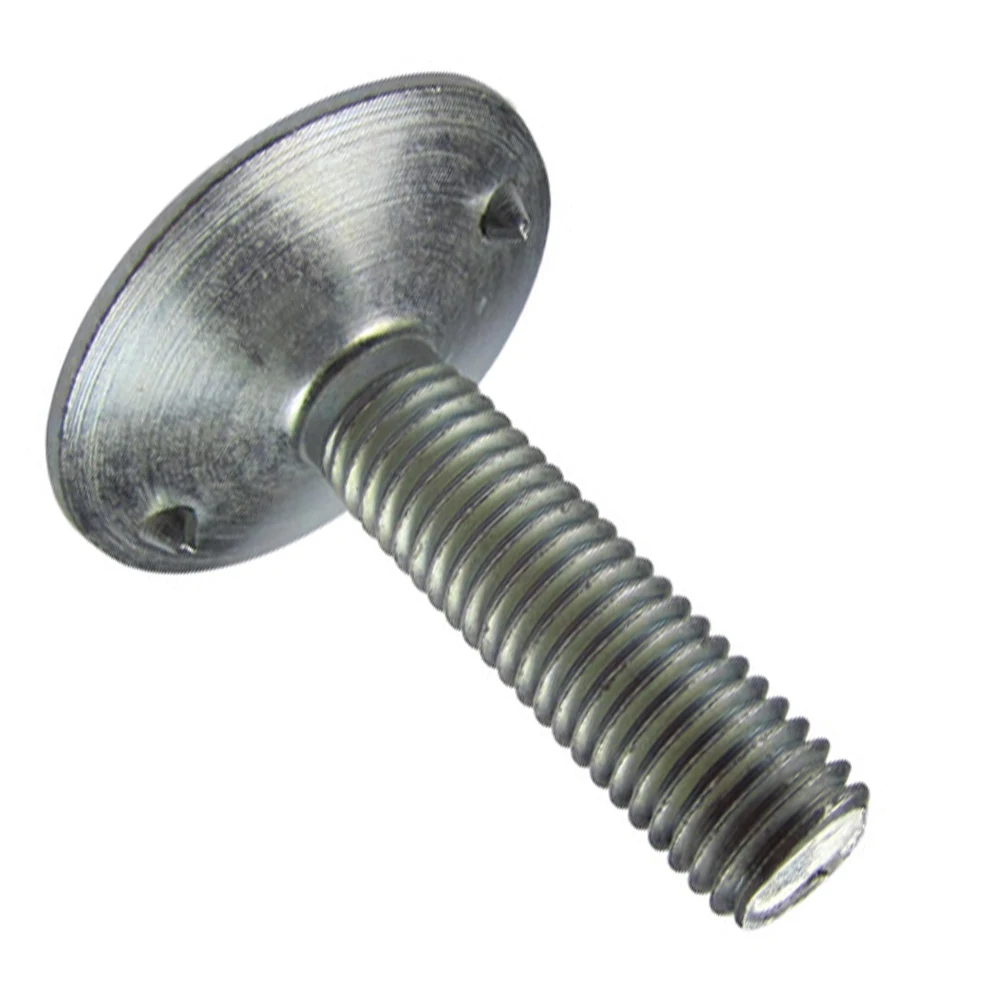 Bucket Belt Elevator Bolt M6 Customized Carbon Steel Stainless Steel 304 316 Flat Head Fanged Elevator Bolt