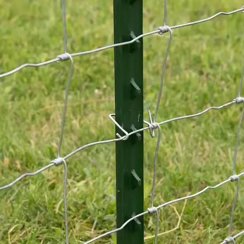 8ft T Post for Deer Fence Field Farm Fence with T Metal post Pressure Treated Steel for Texas Standards farm use