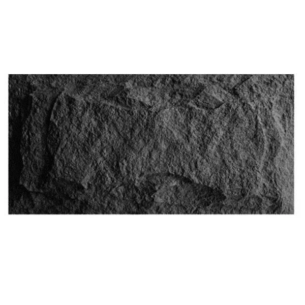 Hot Selling Pu Culture Stone Interior And Exterior Wall Decoration Mushroom Pu Wallboard