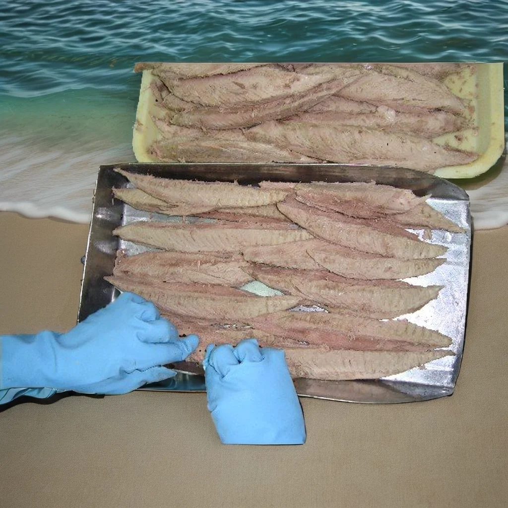 Cost - effective Nutritious Fresh Frozen seafood factory priceTuna Frozen seafood BQF 7.5kg Bonito for sale