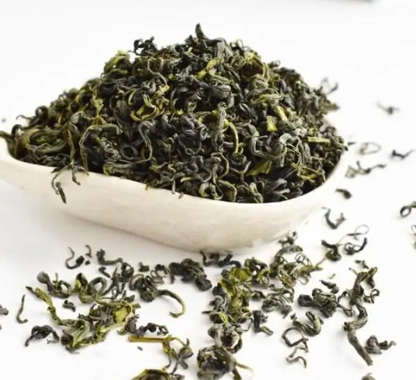 Lao shan lv cha famous chinese Qingdao Mountain Lao green tea for sale