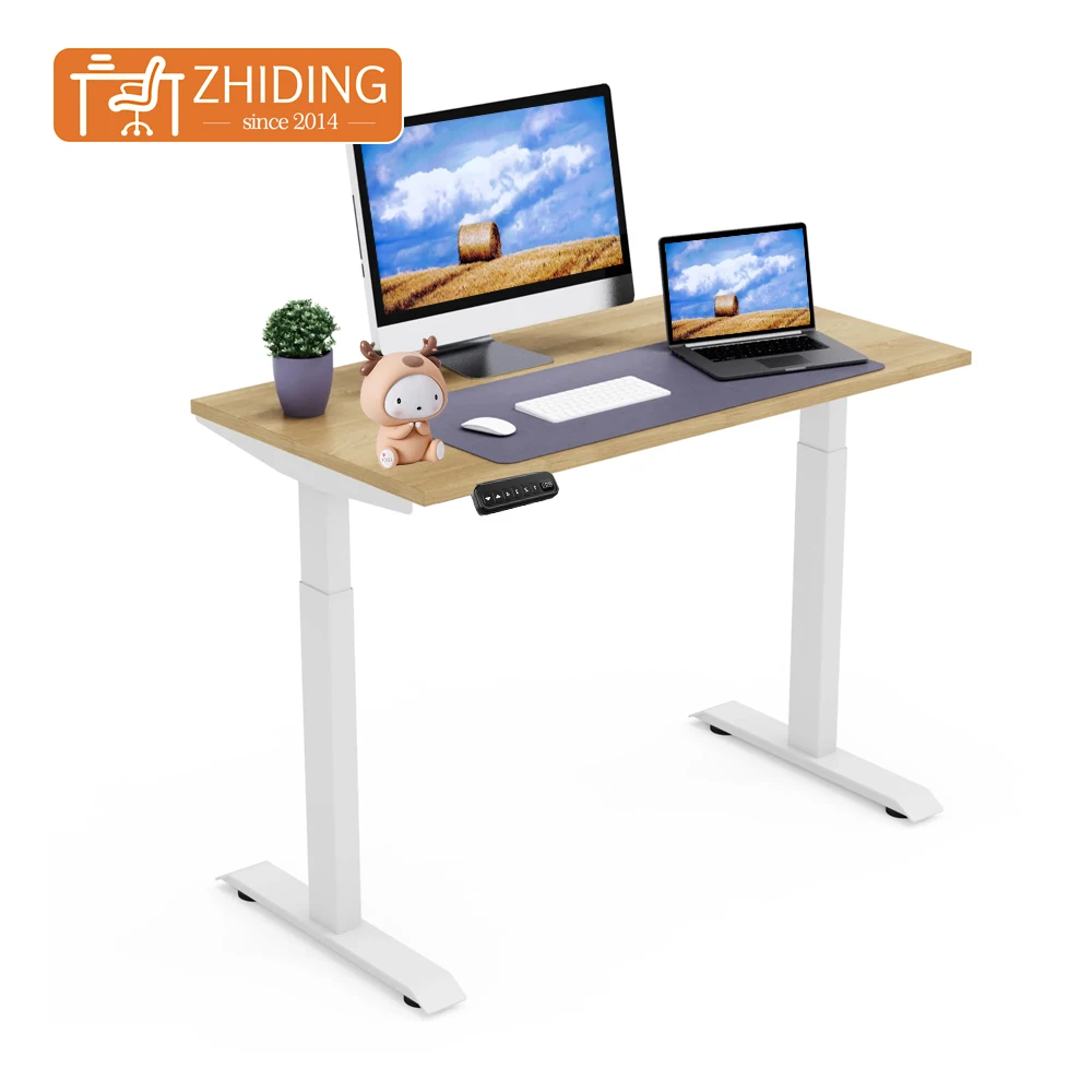 Chinese Factory Manufacturer Dual Motor Electric Standing Table Height Adjustable Desk Frame For Home Office