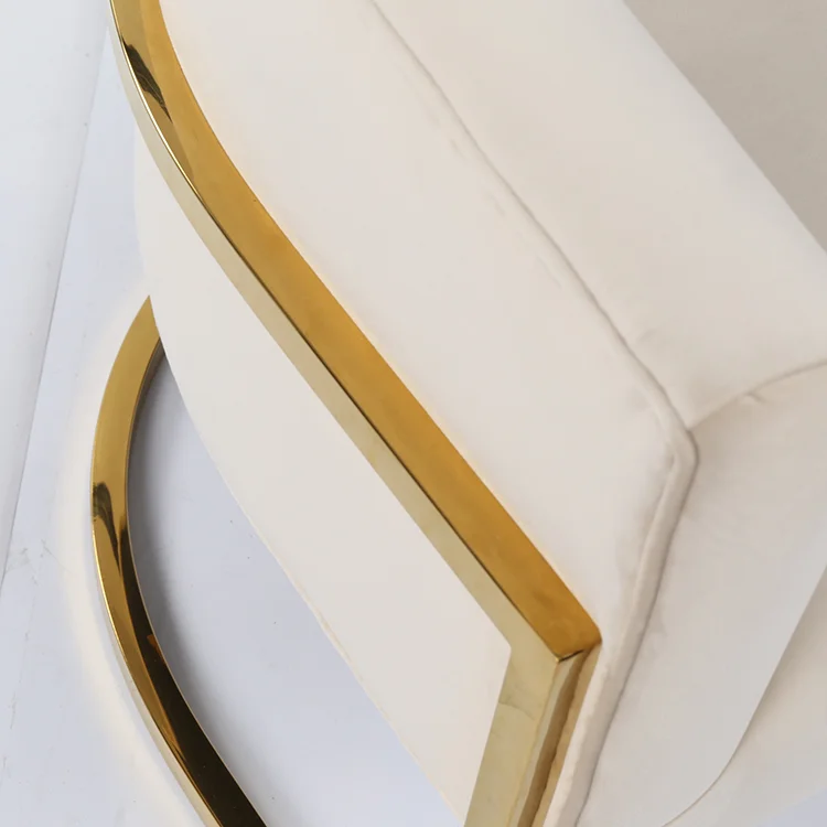 Modern Accent Chair Upholstered Stainless Steel Frame Living Room Velvet Accent Chair