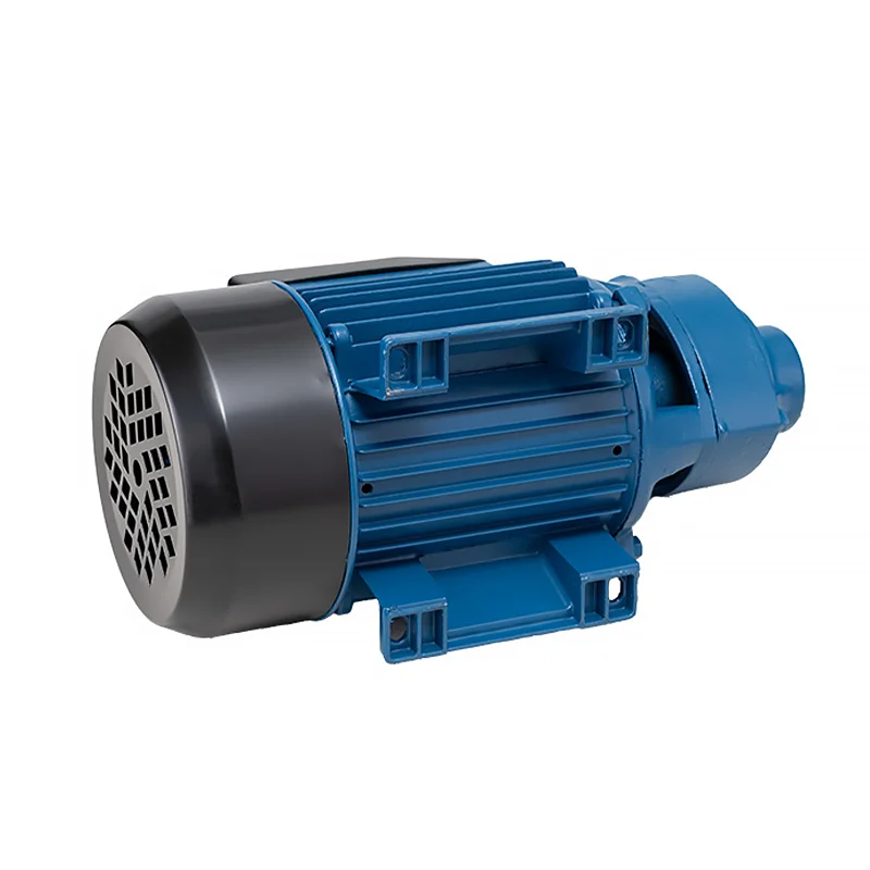 Bombas De Agua Perifericas China Best Brand Good Quality Mini Silent Pressure Water Pump Qb60/70/80 For Sale
